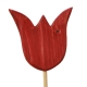Tulpe dunkelrot, mit Stock